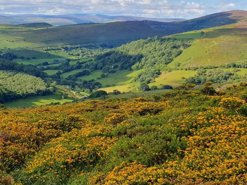 Horseshoe Pass